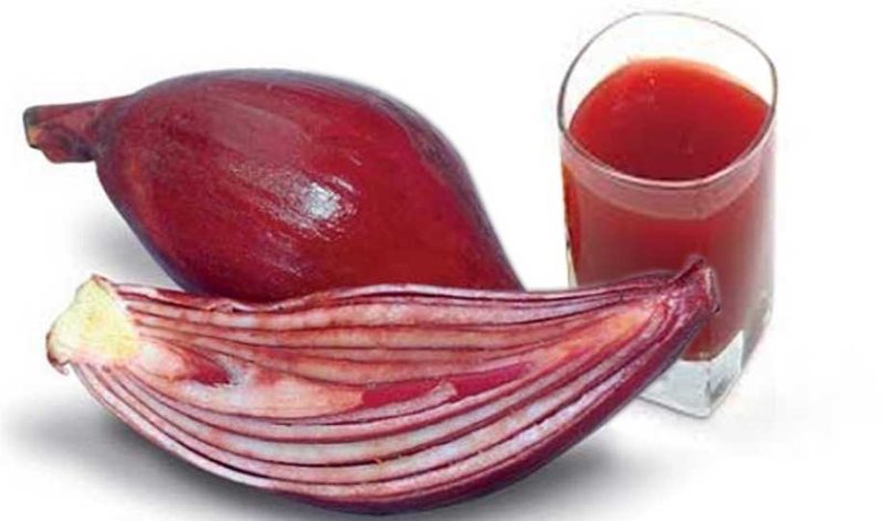 Bawang Dayak : Bahan Dapur Berjuta Khasiat