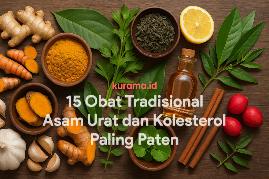 obat tradisional asam urat dan kolesterol