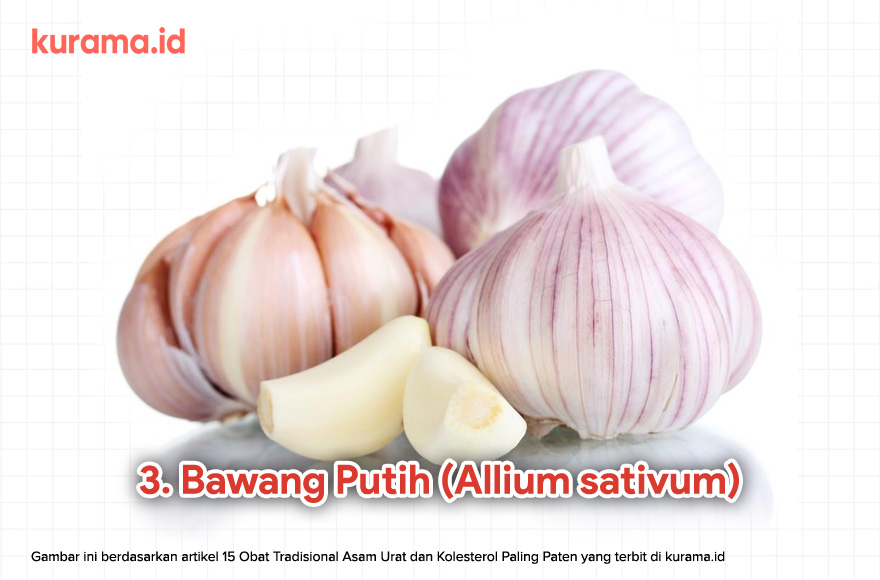 3. Bawang Putih (Allium sativum)