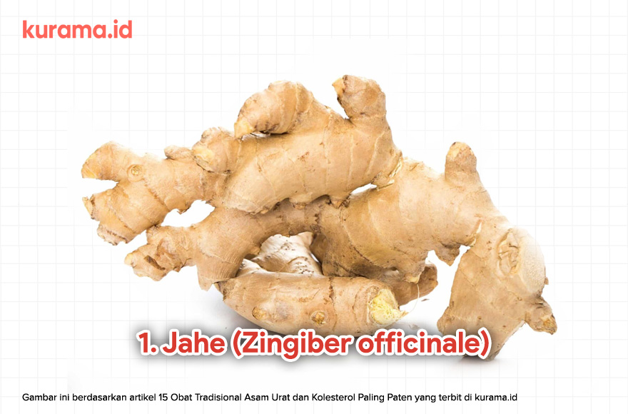 1. Jahe (Zingiber officinale)
