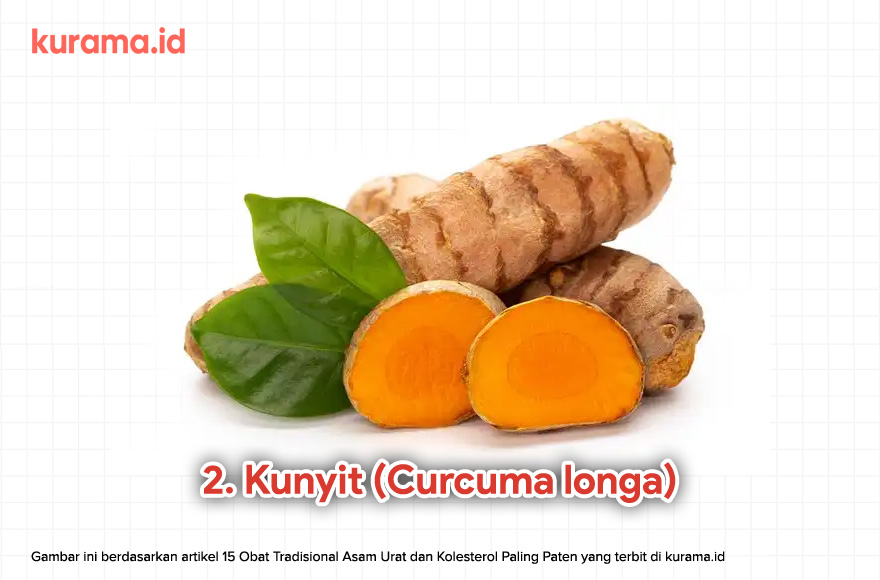 2. Kunyit (Curcuma longa)