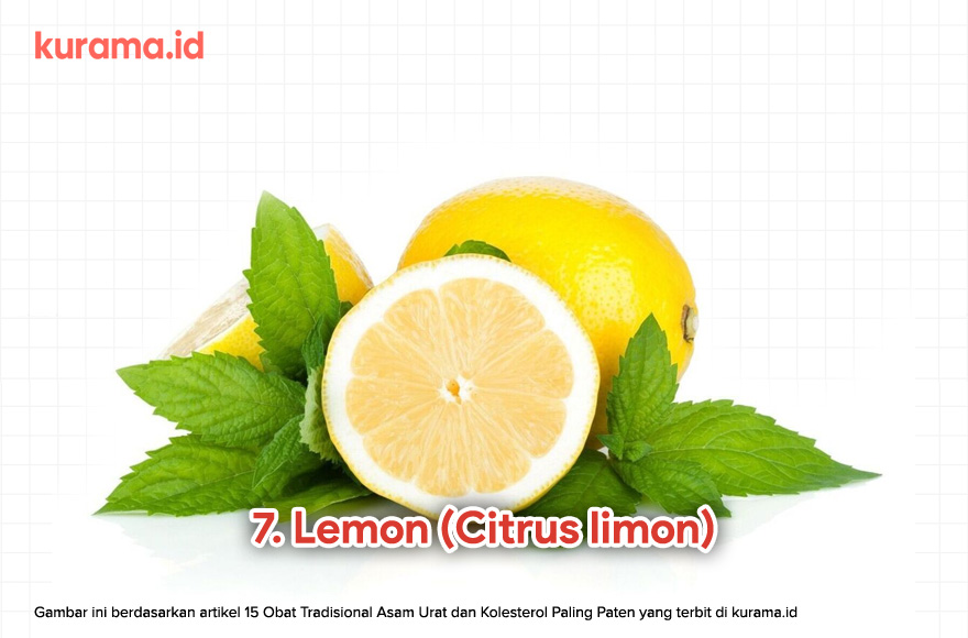 7. Lemon (Citrus limon)