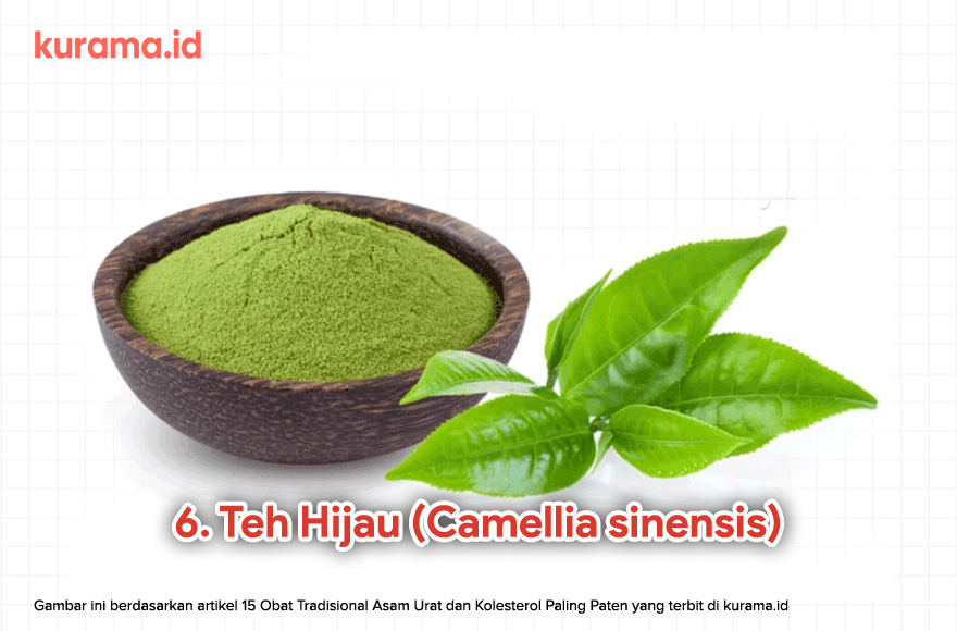 6. Teh Hijau (Camellia sinensis)